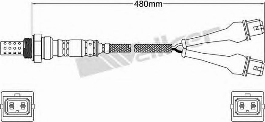 Walker 250-24579 - Lambda zonde ps1.lv