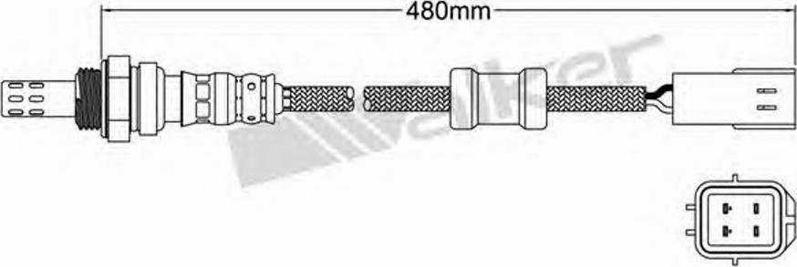 Walker 250-24067 - Lambda zonde ps1.lv