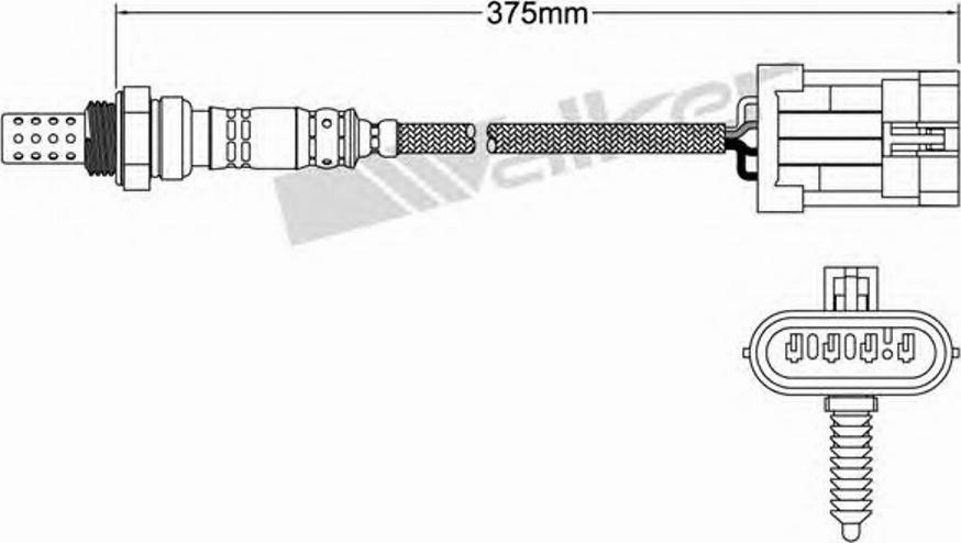 Walker 250-24012 - Lambda zonde ps1.lv