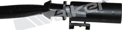 Walker Products 350-34543 - Lambda zonde ps1.lv