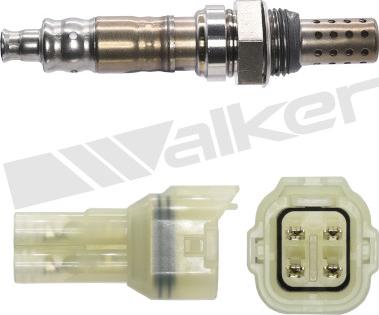 Walker Products 350-34243 - Lambda zonde ps1.lv