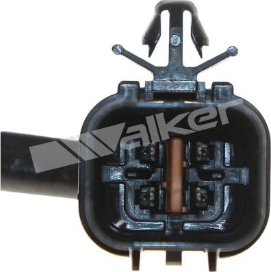 Walker Products 250-241001 - Lambda zonde ps1.lv