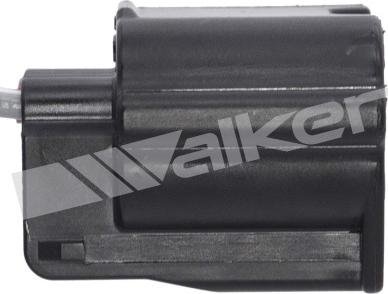 Walker Products 250-241106 - Lambda zonde ps1.lv