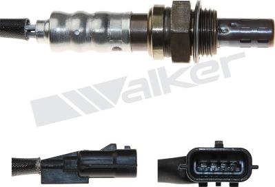 Walker Products 250-241103 - Lambda zonde ps1.lv