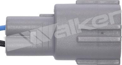 Walker Products 250-24137 - Lambda zonde ps1.lv