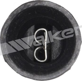 Walker Products 250-21013 - Lambda zonde ps1.lv