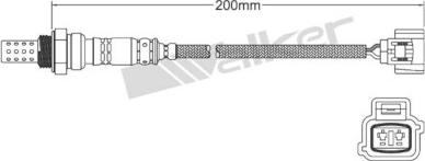 Walker Products 250-22088 - Lambda zonde ps1.lv