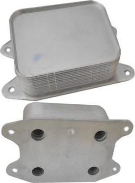 WE PARTS 381590106 - Eļļas radiators, Motoreļļa ps1.lv