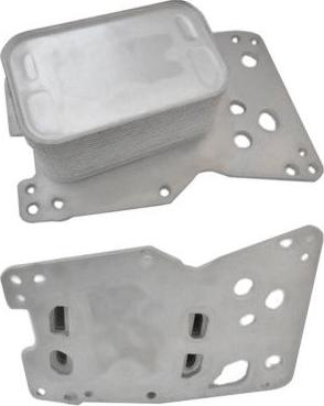 WE PARTS 381590188 - Eļļas radiators, Motoreļļa ps1.lv