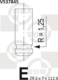 Wilmink Group WG1491518 - Izplūdes vārsts ps1.lv