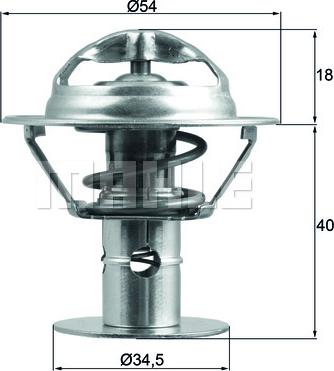 Wilmink Group WG1426541 - Termostats, Dzesēšanas šķidrums ps1.lv