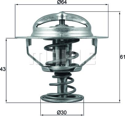 Wilmink Group WG1426539 - Termostats, Dzesēšanas šķidrums ps1.lv