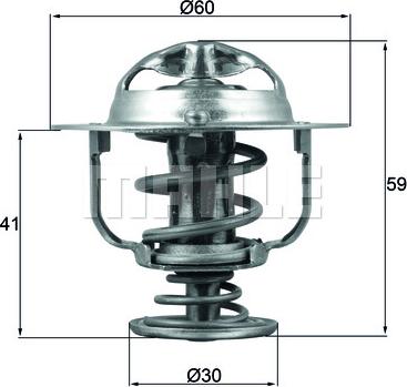 Wilmink Group WG1426538 - Termostats, Dzesēšanas šķidrums ps1.lv