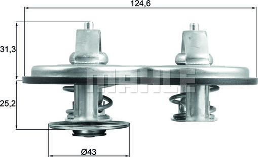 Wilmink Group WG1426526 - Termostats, Dzesēšanas šķidrums ps1.lv