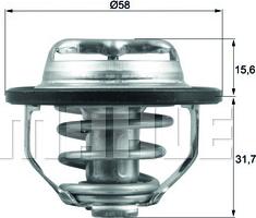 Wilmink Group WG1426520 - Termostats, Dzesēšanas šķidrums ps1.lv