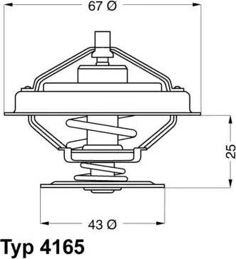 Wilmink Group WG1091679 - Termostats, Dzesēšanas šķidrums ps1.lv