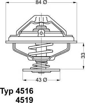 Wilmink Group WG1091753 - Termostats, Dzesēšanas šķidrums ps1.lv