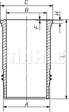 Wilmink Group WG1098279 - Cilindra čaula ps1.lv