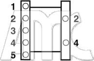 Wilmink Group WG1011694 - Sadales vārpsta ps1.lv