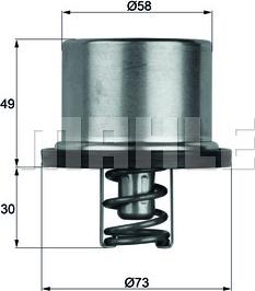 Wilmink Group WG1150247 - Termostats, Dzesēšanas šķidrums ps1.lv