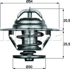 Wilmink Group WG1104027 - Termostats, Dzesēšanas šķidrums ps1.lv