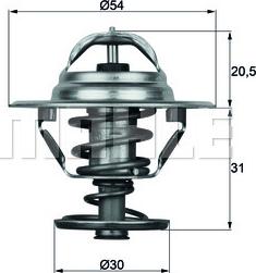 Wilmink Group WG1104797 - Termostats, Dzesēšanas šķidrums ps1.lv