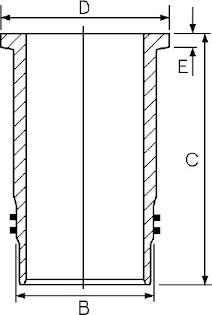 Wilmink Group WG1188160 - Cilindra čaula ps1.lv