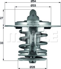 Wilmink Group WG1264906 - Termostats, Dzesēšanas šķidrums ps1.lv