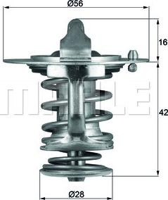 Wilmink Group WG1264903 - Termostats, Dzesēšanas šķidrums ps1.lv