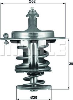 Wilmink Group WG1264934 - Termostats, Dzesēšanas šķidrums ps1.lv