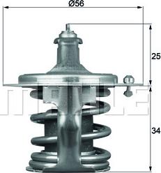 Wilmink Group WG1264935 - Termostats, Dzesēšanas šķidrums ps1.lv