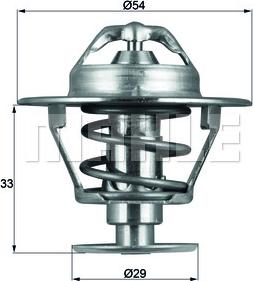 Wilmink Group WG1264931 - Termostats, Dzesēšanas šķidrums ps1.lv