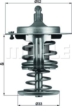 Wilmink Group WG1264933 - Termostats, Dzesēšanas šķidrums ps1.lv