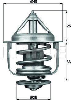 Wilmink Group WG1264932 - Termostats, Dzesēšanas šķidrums ps1.lv