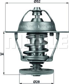 Wilmink Group WG1264924 - Termostats, Dzesēšanas šķidrums ps1.lv