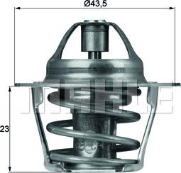 Wilmink Group WG1264892 - Termostats, Dzesēšanas šķidrums ps1.lv