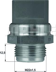 Wilmink Group WG1265980 - Termoslēdzis, Radiatora ventilators ps1.lv