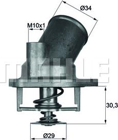 Wilmink Group WG1261819 - Termostats, Dzesēšanas šķidrums ps1.lv