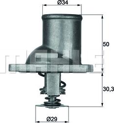 Wilmink Group WG1261818 - Termostats, Dzesēšanas šķidrums ps1.lv