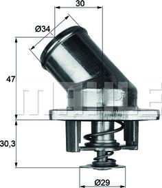 Wilmink Group WG1261820 - Termostats, Dzesēšanas šķidrums ps1.lv