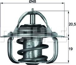 Wilmink Group WG1261799 - Termostats, Dzesēšanas šķidrums ps1.lv