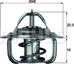 Wilmink Group WG1261784 - Termostats, Dzesēšanas šķidrums ps1.lv