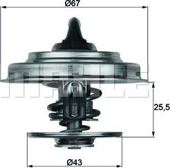 Wilmink Group WG1262808 - Termostats, Dzesēšanas šķidrums ps1.lv