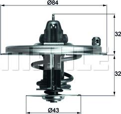 Wilmink Group WG1262769 - Termostats, Dzesēšanas šķidrums ps1.lv