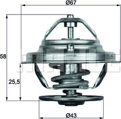 Wilmink Group WG1262707 - Termostats, Dzesēšanas šķidrums ps1.lv