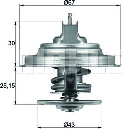 Wilmink Group WG1262739 - Termostats, Dzesēšanas šķidrums ps1.lv