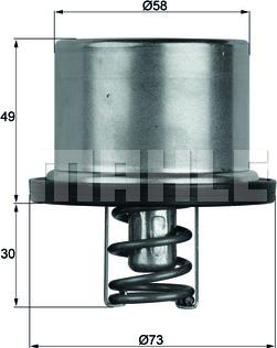 Wilmink Group WG1262770 - Termostats, Dzesēšanas šķidrums ps1.lv