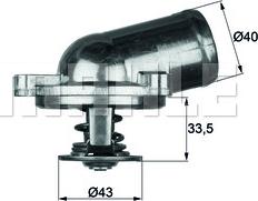 Wilmink Group WG1262777 - Termostats, Dzesēšanas šķidrums ps1.lv