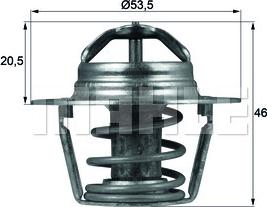 Wilmink Group WG1218013 - Termostats, Dzesēšanas šķidrums ps1.lv