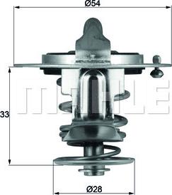 Wilmink Group WG1217989 - Termostats, Dzesēšanas šķidrums ps1.lv